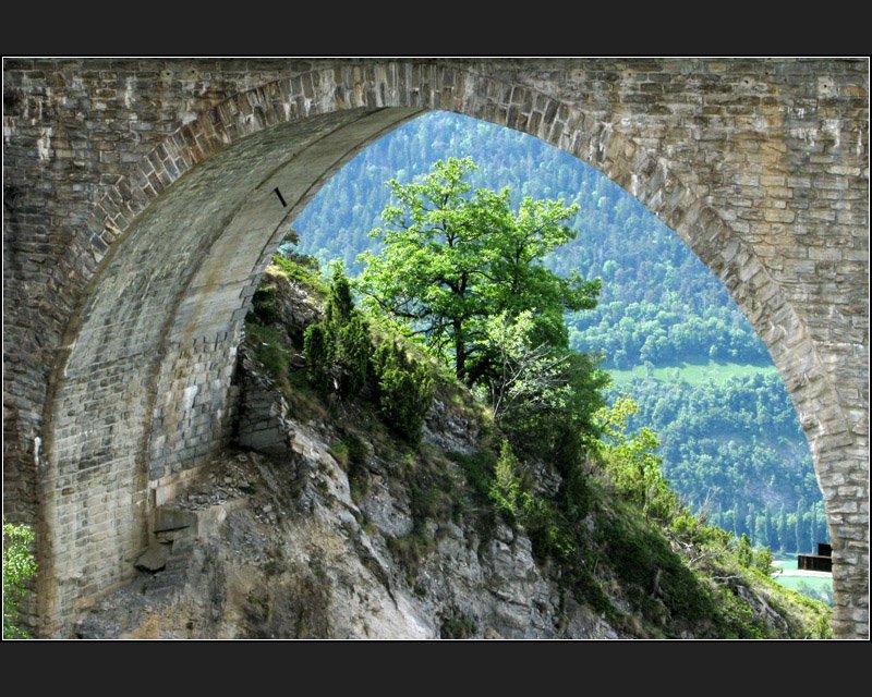 Ein Baum am Berghang gerahmt durch einen Bogen des Luegelkinnviadukt an der L�tschberg-S�drampe. (Jonas)