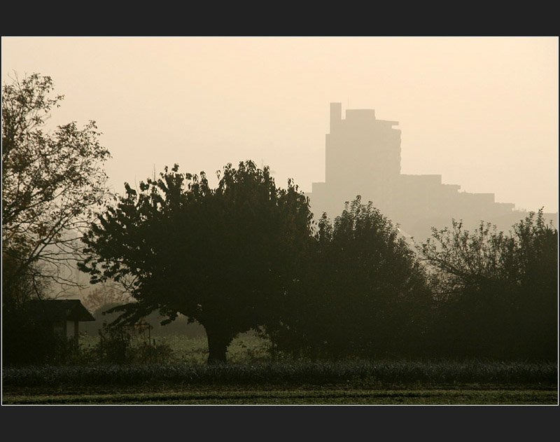 Landschaften anders zu fotografieren ist immer wieder eine Herausforderung. Die l�ndliche Idylle im Vordergrund steht hier im Gegensatz zu diesem im Morgennebel schemenhaft erkennbaren Wohnhochhauses. Fotografiert zwischen Kernen-Rommelshausen und Weinstadt-Endersbach im Remstal. Das Hochhaus steht in Endersbach. (Matthias)