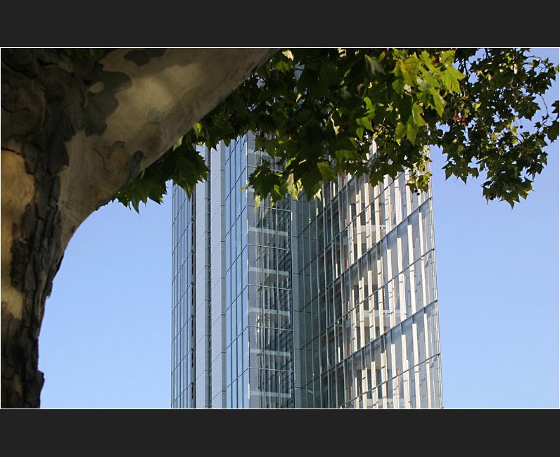 Natur und Moderne